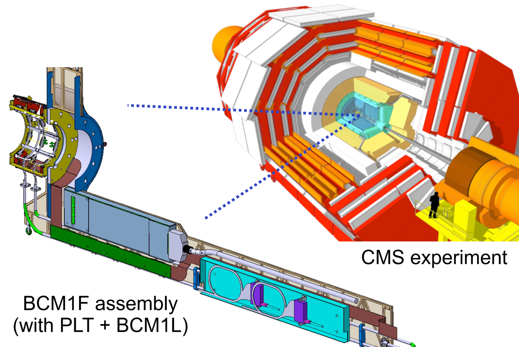 bcm1f_loc_3d.png